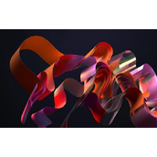 win11是否可以更新详情