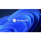 提前升级win11系统的方法