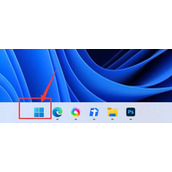 win11搜索栏怎么用详细介绍