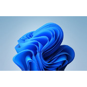 win11右下角消息栏关闭方法