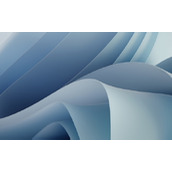 win11蓝屏100%不重启解决方法