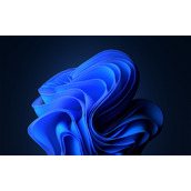 win11壁纸 4k高清壁纸发布 喜欢的用户可以自取