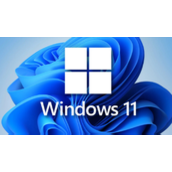 win11专业版永久激活密钥