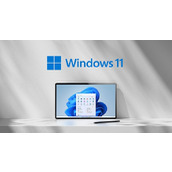 win11系统支持的游戏大全