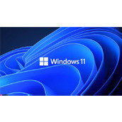 微软win11正式发布时间将要确定 部分用户可享免费升级