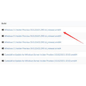 arm架构win11下载教程