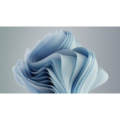 win11家庭版可以从哪下载