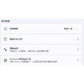 win11自动更新有必要关闭吗