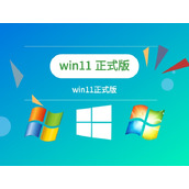 win11安装选哪个版本