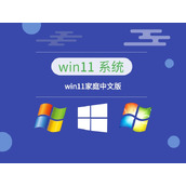 Windows11哪个版本好