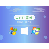 win11应该选哪个版本