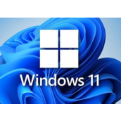 win11有必要更新吗