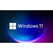 win11突然黑屏怎么办