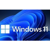 win11切换本地账户有什么区别