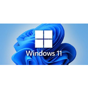 win11家庭版和专业版对比