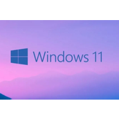win115G频段不可用