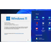 2023年win11现在建议升级吗