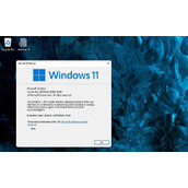 老电脑装win11流畅吗详情