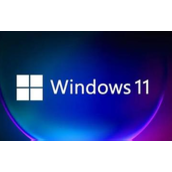 win11business和consumer版本区别