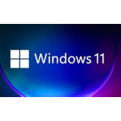 Win114G内存虚拟内存怎么设置最好