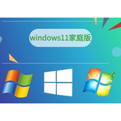 win11家庭版和专业版