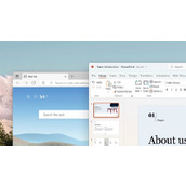 win11兼容性详细介绍