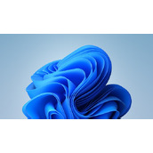 win11企业版和专业版区别