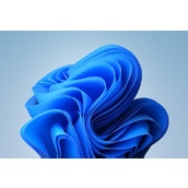 win11任务栏消失解决教程