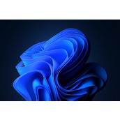 win11任务栏卡死解决方法