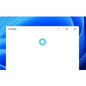 win11小娜是否可以语音唤醒详情