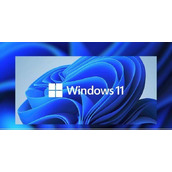 win11是否要激活详细介绍