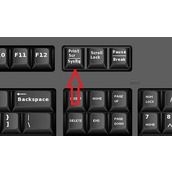 win11截图方法教程