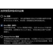win11体验成员设置教程