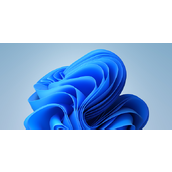 Win11KB5016691更新内容