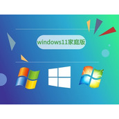 win11家庭版和专业版的区别介绍