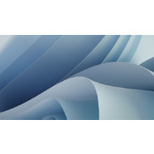 win11能关闭自动升级吗