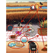 《脑洞茬里王》麦田宿营怎么过