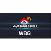 《英雄联盟》wbg战队韩国人介绍