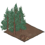 江南百景图林场攻略图鉴(林场生产明细作用解锁方式介绍)