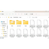 《恶灵附身》中文相关设置介绍