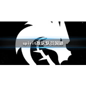 《dota2》spirit战队队员国籍介绍