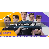 《dota2》team spirit成员国籍一览