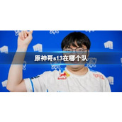 《lol》s13原神哥BeryL所在队伍介绍
