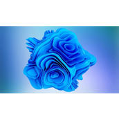 win11新bug颜色显示不正常