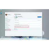 win11canary怎么回到beta