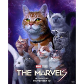 电影《惊奇队长2》发布猫猫海报