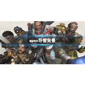 《apex》导管背景介绍