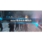 《dota2》雪碧战队国家说明