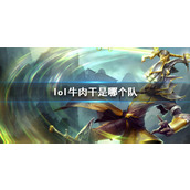 《lol》牛肉干战队介绍
