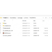 《恶灵附身》没有中文解决方法